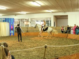 IMG_5263_web